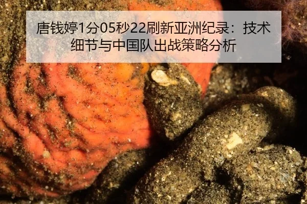 tang-qian-ting-fen-miao-shua-xin-ya-zhou-ji-lu-ji-shu-xi-jie-yu-zhong-guo-dui-chu-zhan-ce-lve-fen-xi-3-818.jpg
