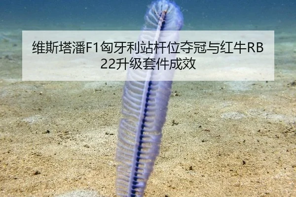 维斯塔潘F1匈牙利站杆位夺冠与红牛RB22升级套件成效